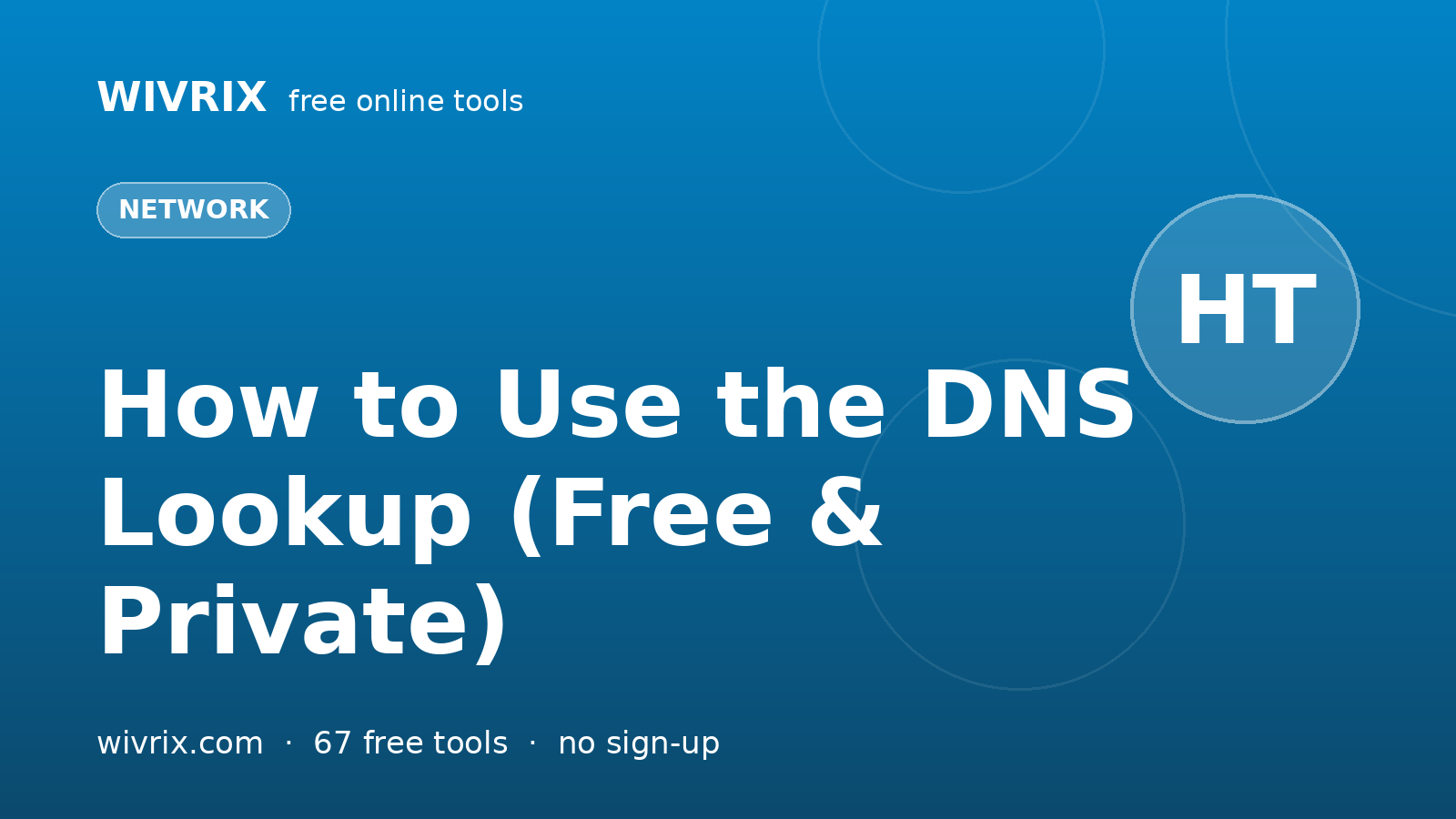 How to Use the DNS Lookup (Free & Private)