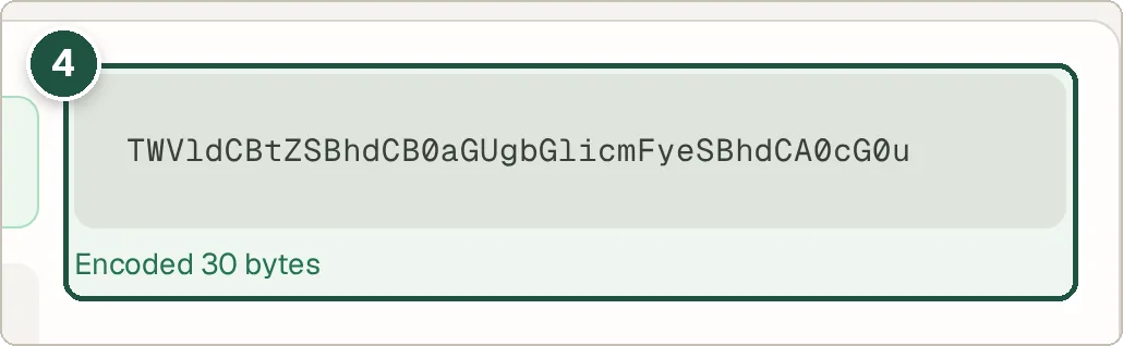 Base64 encoded output of the sample sentence