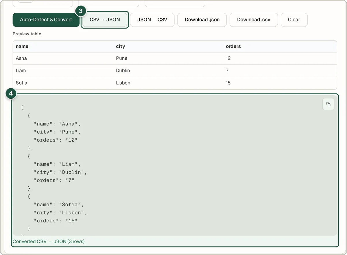 Preview table and converted JSON array for the sample CSV