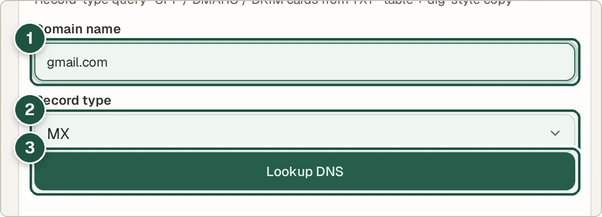 DNS Lookup with a domain entered and record type selected