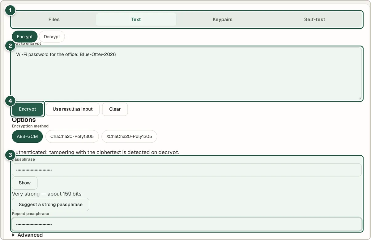 Encrypt and Decrypt tool with a message typed in, AES-GCM selected and a strong passphrase