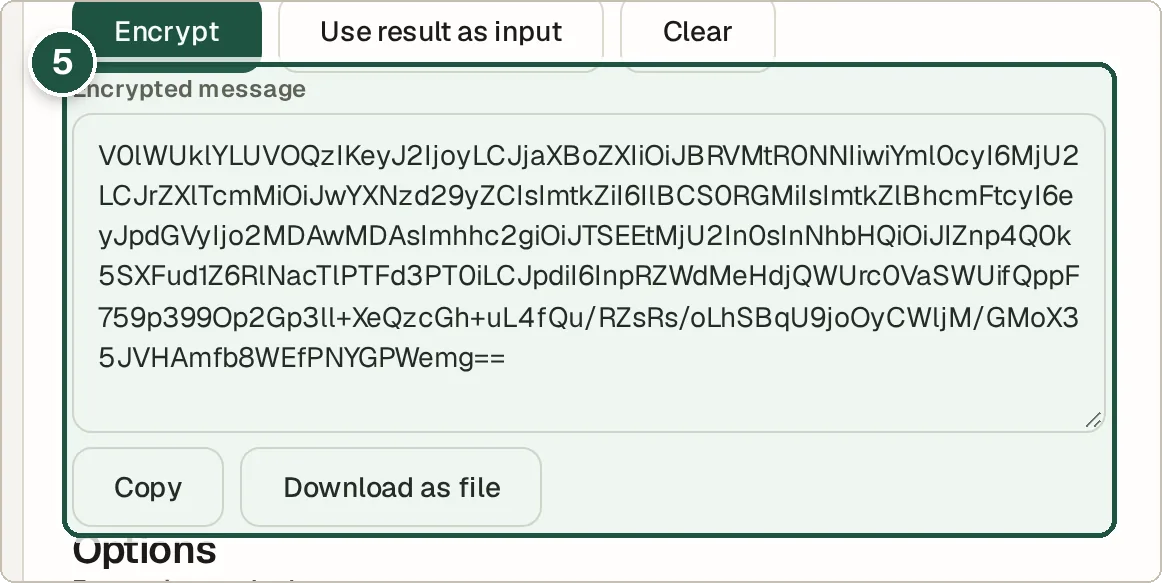 Encrypted message shown as a long block of Base64 text with Copy and Download buttons