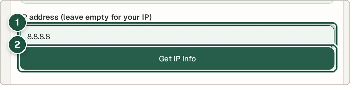 IP Address Info with an IP address entered