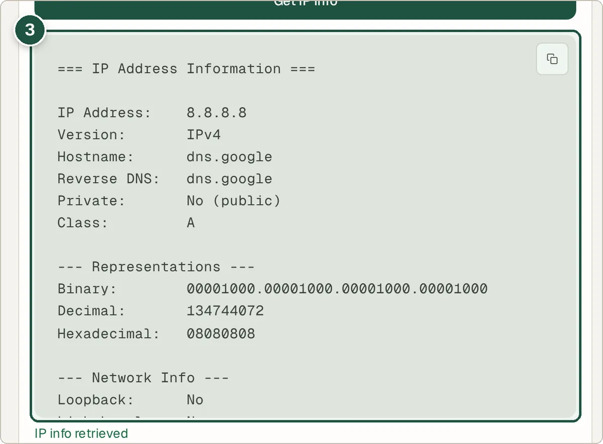 IP details showing reverse DNS, classification and binary and hex values